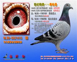 游