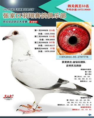 㘷C53