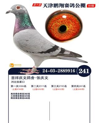 iQِ241