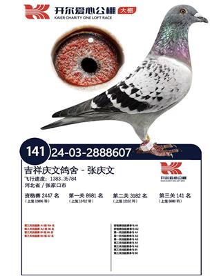 開爾決賽141名