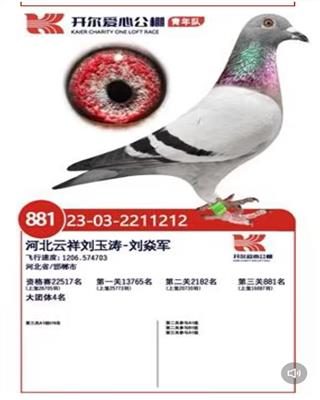东方不败151直女(开尔881名）