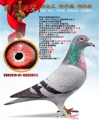 wW̖4545?sh)ֱֱ?></a><br>
            <br>
            <a href=
