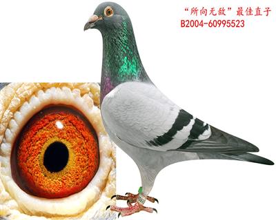 oֱ