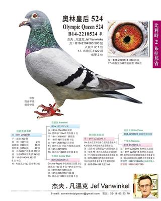 Wֻʺ524