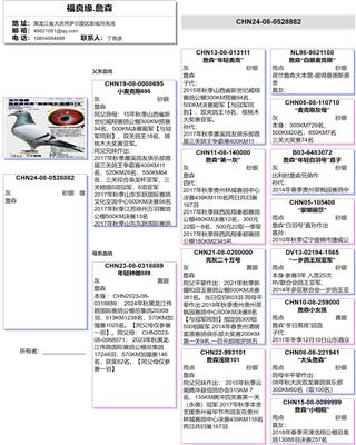 Ѫy(tng)