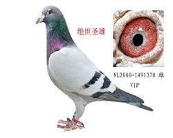 游