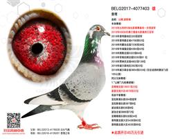 游