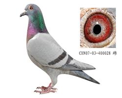 ĸH