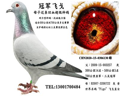 ھɸ ĸӻѪצצ