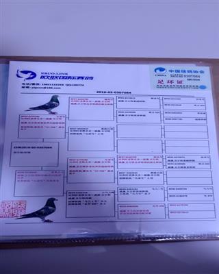 Ѫy(tng)