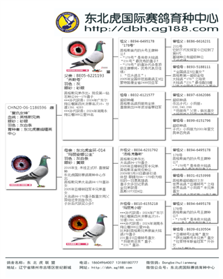Ѫy(tng)