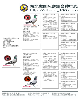 Ѫy(tng)