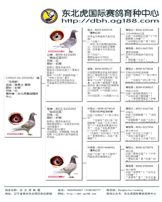 Ѫy(tng)(sh)