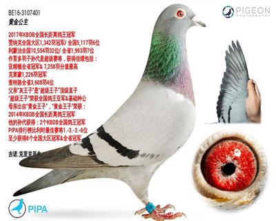 Ѫy(tng)
