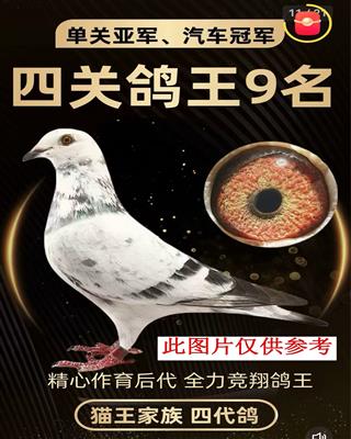 Ѫy(tng)