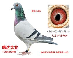 游