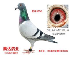 游