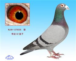 游