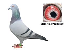 ĸ