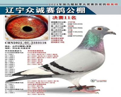 辉煌时刻