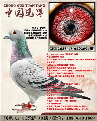 겻ɼ