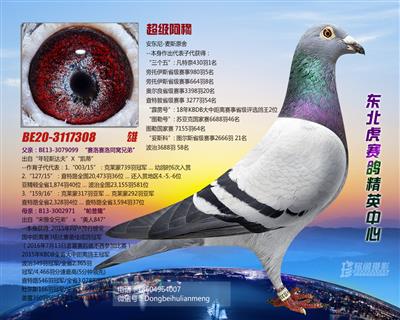 超级阿穆