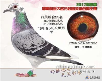金牌355直子510公里亚军