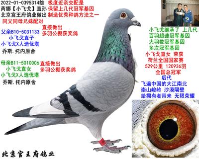 ȡСw꡿ֱO