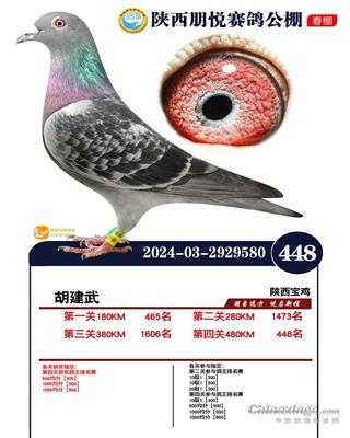 东方不败667直孙（ 朋悦决赛448名）