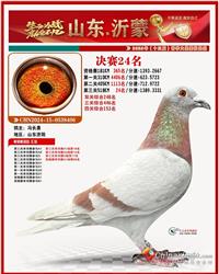 直孫：沂蒙決賽24名