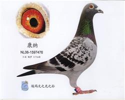 游