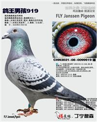 к919