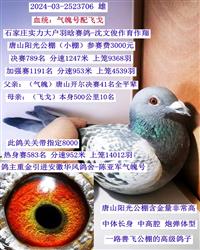 Picture