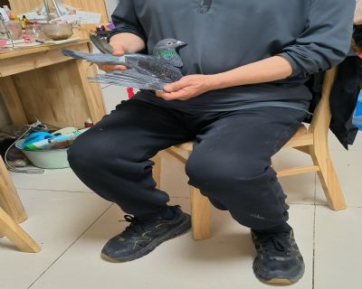 DƬ