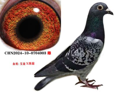 4e2ef9625eb7b84b6bda2a1631f1a18