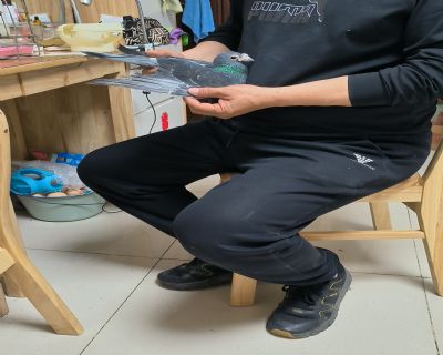 DƬ
