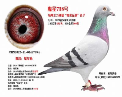 ħ738
