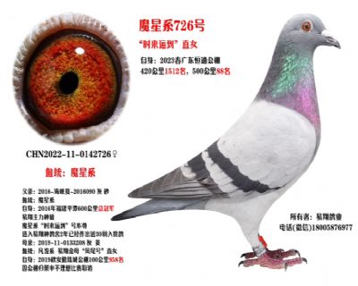ħ726