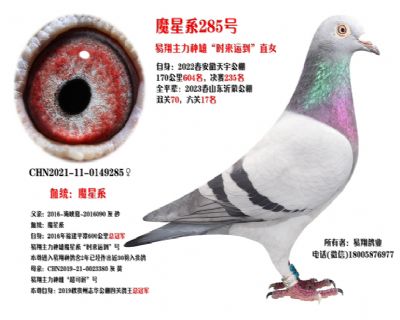ħ285