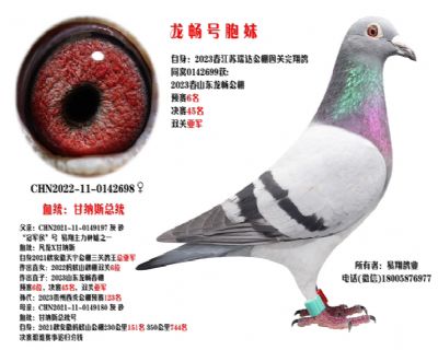̖(ho)ͬC
