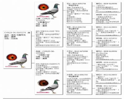 Ѫy(tng)