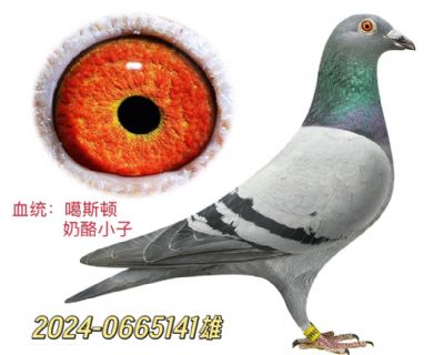 ˹DС
