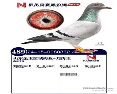 ᠖ɭ