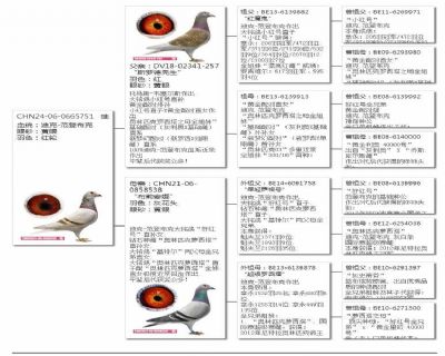 Ѫy(tng)