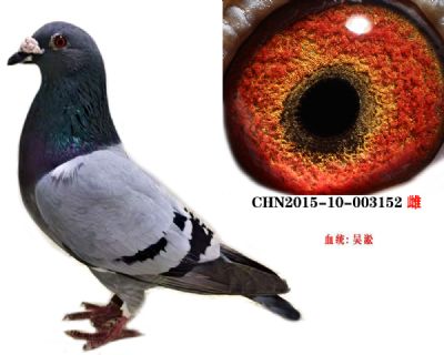 47e8d1f542c6da7567fb10049135cac