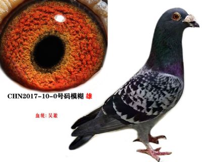 45cb0ea7e04b88a0e268206bef3026d