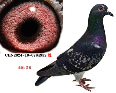 913fa3d714f5ce5a46ac57e86b4f2e5