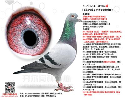 ʡW䌦ֱ