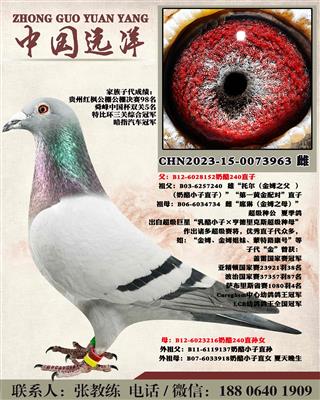 겻ɿ(j)Q