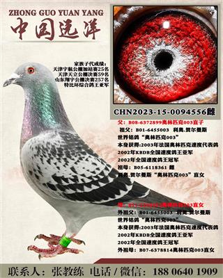 겻ɿQ